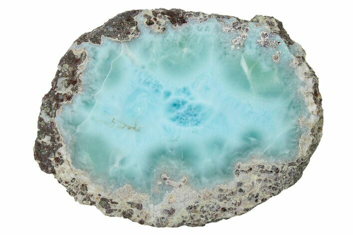 Slice Of Larimar Replaced Wood Limb Cast #278353